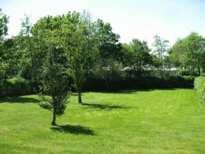 zwei Bäume auf einem grünen Rasen in der Unterkunft Hotel Hofker in Nes