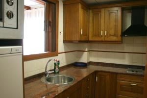 Kuchyňa alebo kuchynka v ubytovaní Apartamentos Les Picardes + 28 fotografií