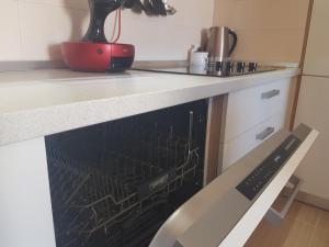 Kuchyň nebo kuchyňský kout v ubytování Penthouse Znjan