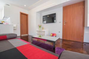 TV a/nebo společenská místnost v ubytování Studio Apartment Lena