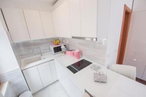 Kuchyň nebo kuchyňský kout v ubytování Studio Apartment Lena