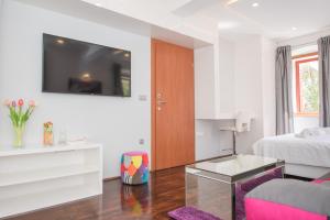 TV a/nebo společenská místnost v ubytování Studio Apartment Lena