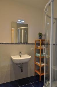Un baño con lavabo y ducha de cristal. en La Ginestra Amalfi Dreams, en Minori