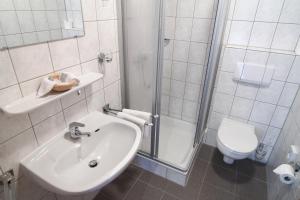 een badkamer met wastafel, douche en toilet bij Landgasthof Zur Post in Zilshausen