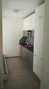 une cuisine avec des placards blancs et un comptoir dans l'établissement Alfa Panorama Brno, à Brno