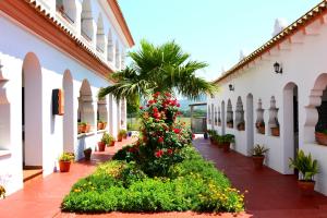 a courtyard of a building with a palm tree and flowers at Hostal Alhambra in Zahora