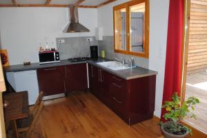 eine Küche mit einer Spüle und einer Mikrowelle in der Unterkunft Insolite Bois Cailloux avec Spa in Saint-Remèze