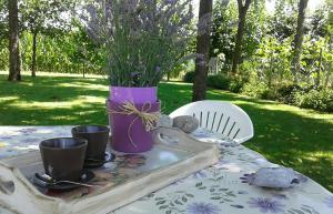 Zahrada ubytování B&B Borgo Arcadia