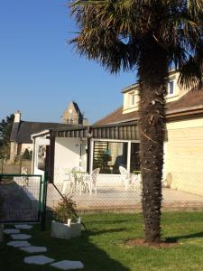a palm tree in a yard next to a house at Hotel du 6 juin in Sainte-Mère-Église