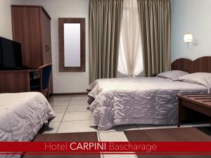 Postel nebo postele na pokoji v ubytování Hotel Carpini