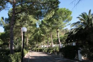 Foto dalla galleria di Hotel Mira a Peschici