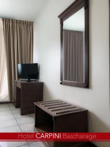 TV a/nebo společenská místnost v ubytování Hotel Carpini