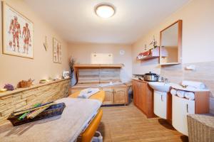 Kuhinja oz. manjša kuhinja v nastanitvi Wellness Apartmány Andrea