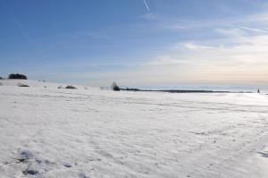 ein schneebedecktes Feld mit Fußabdrücken im Schnee in der Unterkunft Pension Silberdistel in Ühlingen-Birkendorf