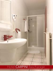 a white bathroom with a sink and a shower at Hotel Carpini in Bascharage