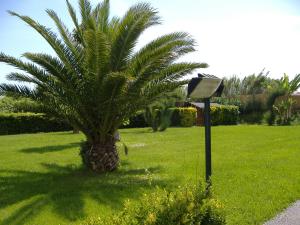 Jardí fora de Hotel Turandot
