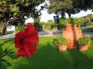 Zahrada ubytování Villa Dei Principi Hotel