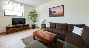 a living room with a brown couch and a tv at Apartment Sandro in Vilanija