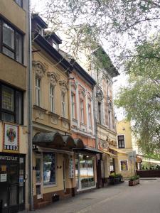 ジェールにあるKuckó Panzió Győrの通り道