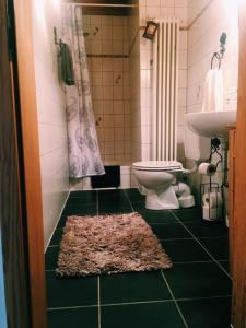 łazienka z toaletą i umywalką w obiekcie Biohof Zahn w mieście Hockenheim