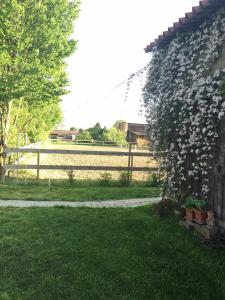 a garden with a fence and a ivy covered wall at Biohof Zahn in Hockenheim