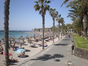 a beach with people laying on the sand and palm trees at Las Floritas in Playa de las Americas