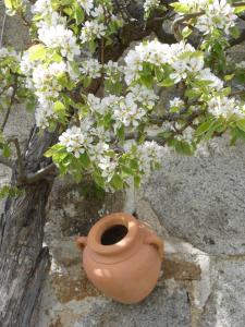 Zahrada ubytování Chambre D'hôtes Myrtille