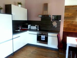 Kuchyň nebo kuchyňský kout v ubytování Alpine Appartement