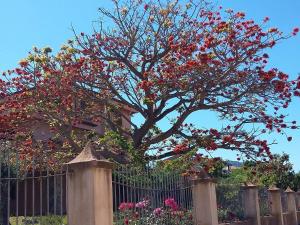 a tree in front of a fence with red flowers at Appartamenti Is Murdegus in Tortolì