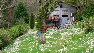 AleaにあるCasa Rural La Posada del Albaの白い花の庭