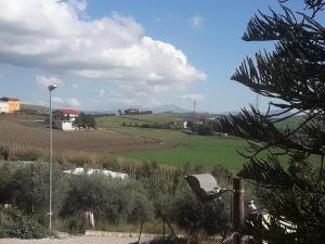 een uitzicht op een veld en een straatlicht bij B&B Federico II in San Cipirello