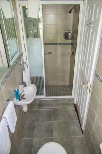 a bathroom with a shower and a toilet and a sink at Doonshean View Bed and Breakfast in Dingle