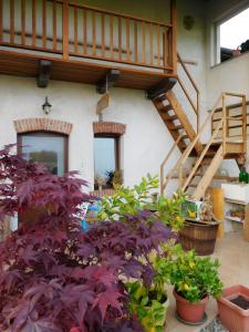 Zahrada ubytování Bed and breakfast Al Rudun