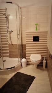 W łazience znajduje się prysznic, toaleta i umywalka. w obiekcie DobraNocka w mieście Kaleń