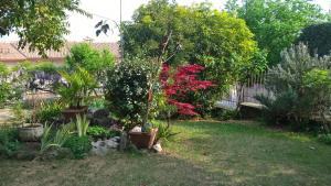 Zahrada ubytování B&B Il Glicine