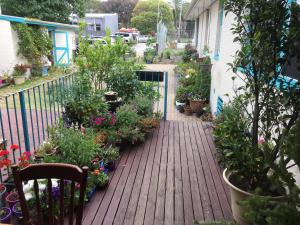 a garden filled with lots of plants next to a fence at 1849 Backpackers Albany in Albany