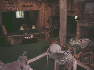 TV a/nebo společenská místnost v ubytování Arrowmont Stables & Cabins