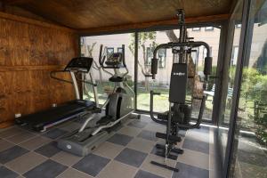 a gym with three tread machines in a room at L'incanto Di Boccadarno in Marina di Pisa