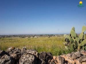 a view from the top of a rock wall with a cactus at Marilù B&B in Matino