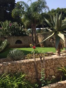 a garden with palm trees and a stone wall at Villa Scalea in Santa Domenica
