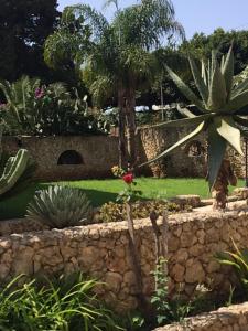 A garden outside Villa Scalea