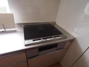 Kuchyň nebo kuchyňský kout v ubytování Nori's Sharehouse Hakuba
