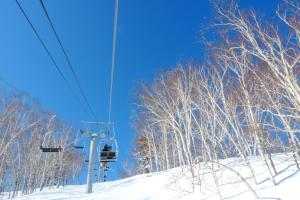 富良野的住宿－Shin Furano Prince Hotel，雪覆盖的山坡上树木覆盖的滑雪缆车