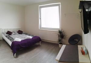 Postel nebo postele na pokoji v ubytování Alfa Panorama Brno
