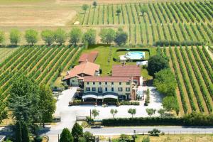 an aerial view of a house in a vineyard at Agriturismo Lizzarola in Peschiera del Garda