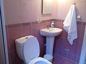 une salle de bains rose avec toilettes et lavabo. dans l'établissement Munchen Pension, à Antalya