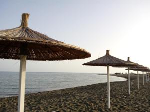 a group of straw umbrellas on a beach at Klea Rooms in Velipojë