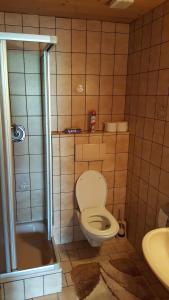 a bathroom with a toilet and a shower and a sink at Gasperlerhof in Neustift im Stubaital