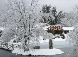 a snow covered yard with a house and a tree at Village Inn - Blowing Rock in Blowing Rock