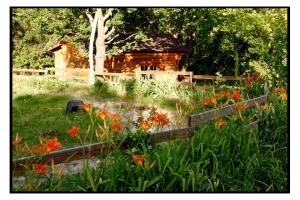 Gallery image of Ferme La Viste in La Roche-sur-le-Buis
